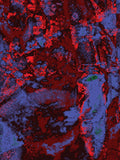 Infrared 81 — X9