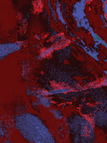 Infrared 49 — X9