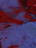 Infrared 46 — X9
