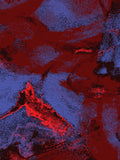 Infrared 43 — X9