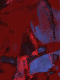 Infrared 33 — X9