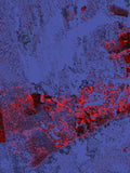 Infrared 25 — X9