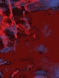 Infrared 20 — X9
