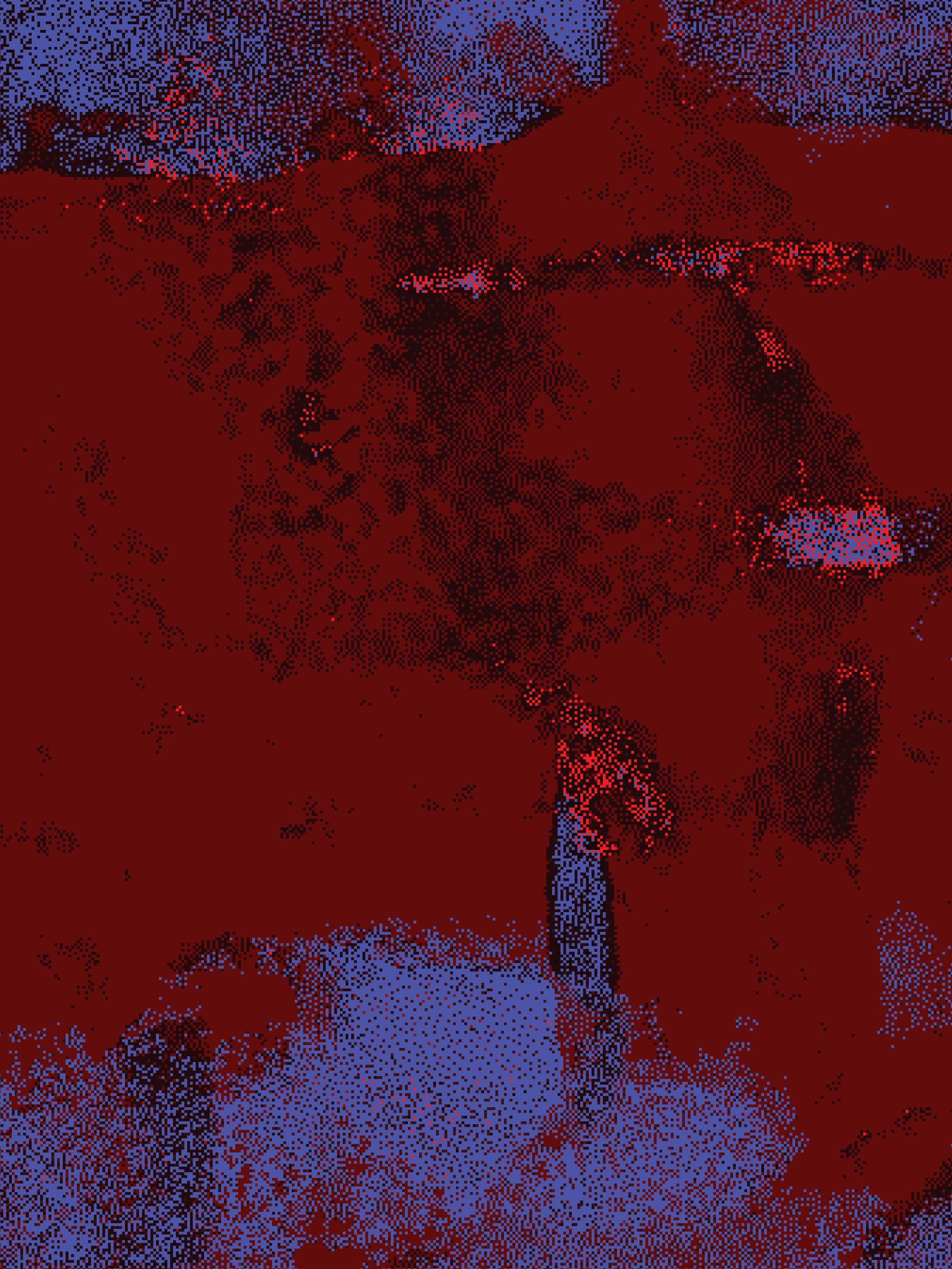 Infrared 19 — X9