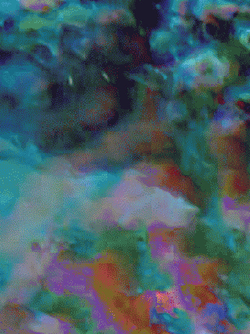 Coral 43 — X9